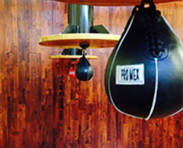 Punching speed bags in boxing gym at Red's in Lafayette, LA.