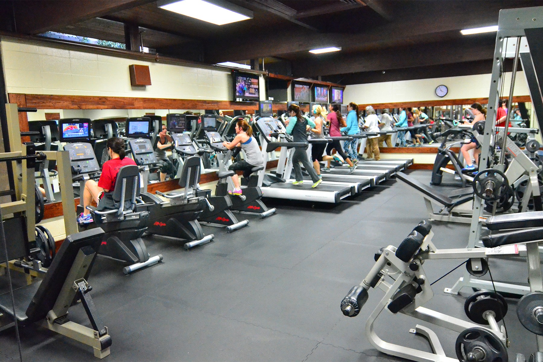 Cardio equipment in the ladies only workout facility at Red's in Lafayette, LA