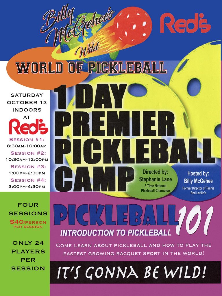 1 day pickleball camp